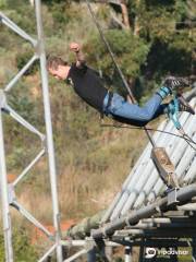 Bungee Jumping