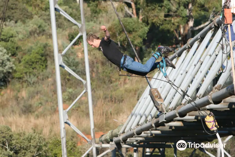 Bungee Jumping