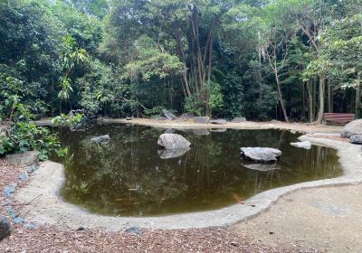 Redcliffe Botanic Gardens