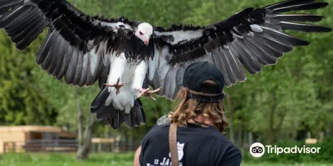 Le Jardin des Hiboux
