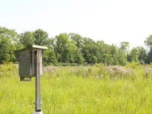 Black Swamp Preserve