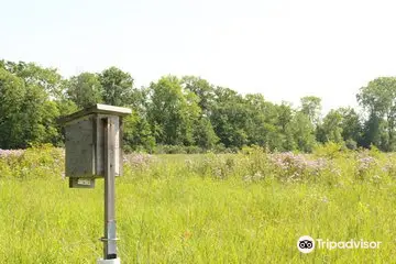 Black Swamp Preserve