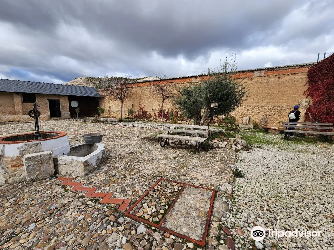 3_Bodega Arbas