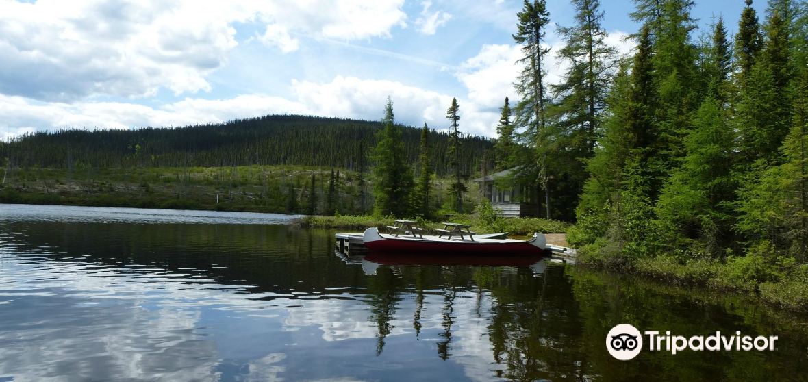 Things to Do in Charlevoix Regional County Municipality in 2025 Top