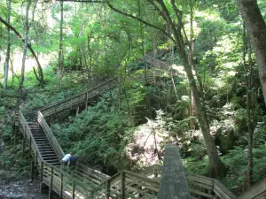 Devil's Millhopper Geological State Park