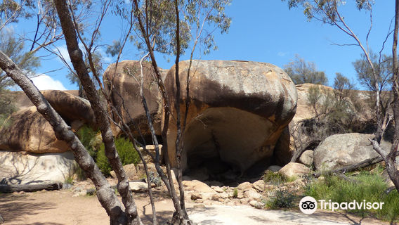 Hyden