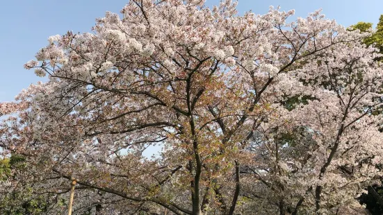 Fukakita Ryokuchi Park