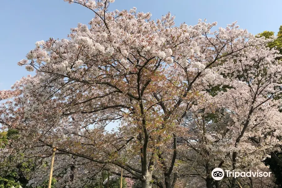 Fukakita Ryokuchi Park