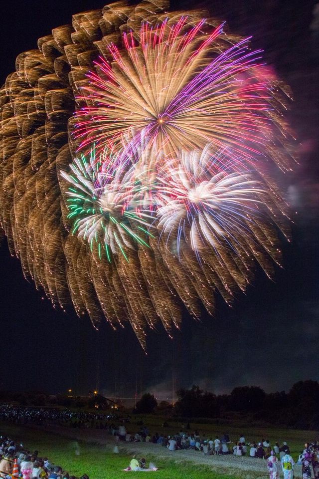 Gifu Shimbun Ogaki Fireworks | Ogaki