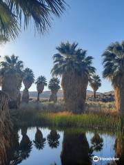 Mission Creek Preserve