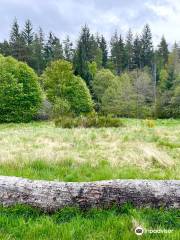 Glen Tanar National Nature Reserve