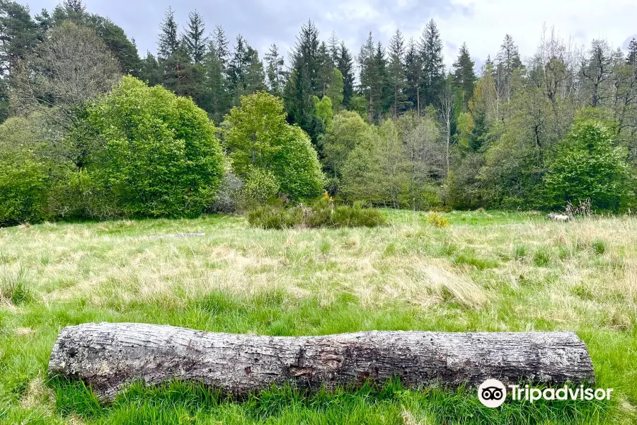 Glen Tanar National Nature Reserve