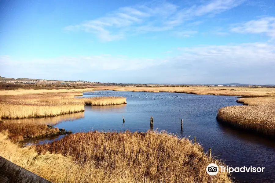 Farlington Marshes Nature Reserve