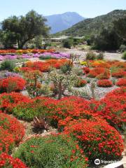 Karoo Desert National Botanical Garden