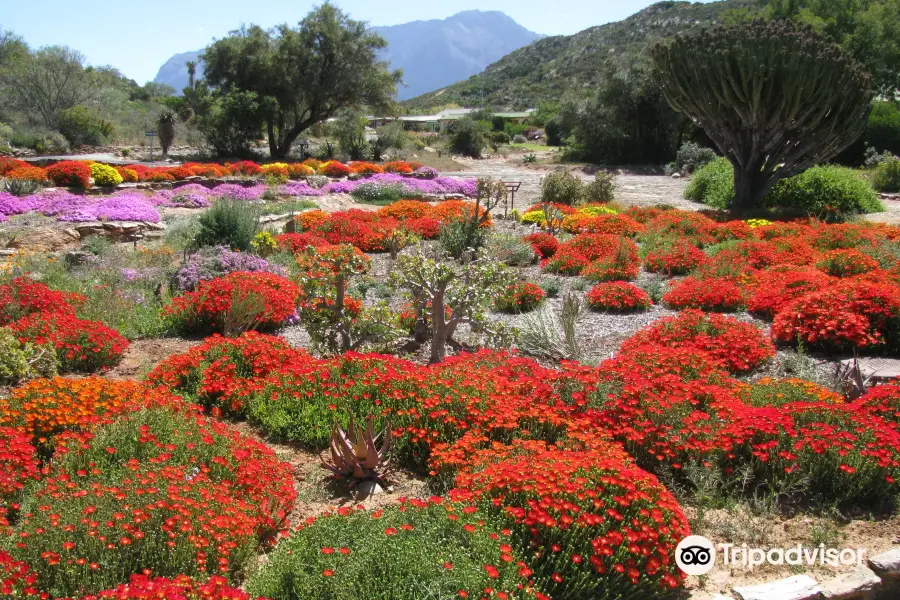 Karoo Desert National Botanical Garden