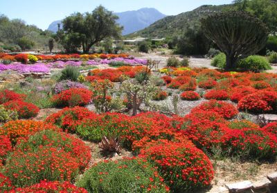 Karoo Desert National Botanical Garden