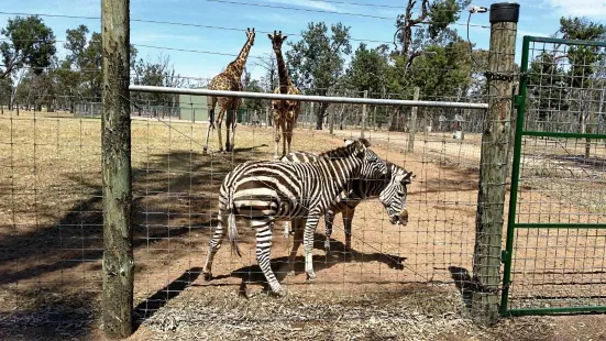 Altina Wildlife Park