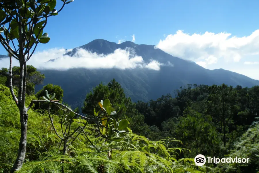 Sierra Maestra