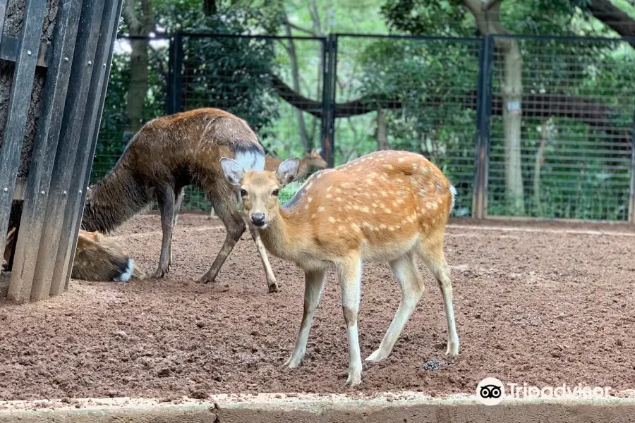 Yumemigasaki Zoological Park