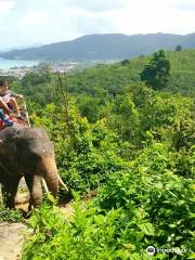 Pang Chang Kamala l Elephant Camp Phuket & Mountain ATV by ช้างให้