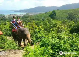 布吉卡馬拉海景大象營