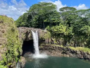 ワイルク・リバー州立公園