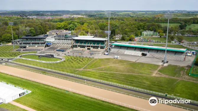 5_Newcastle Racecourse
