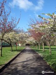 สะพาน Battersea