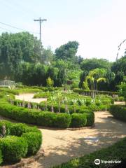 Paul J Ciener Botanical Garden