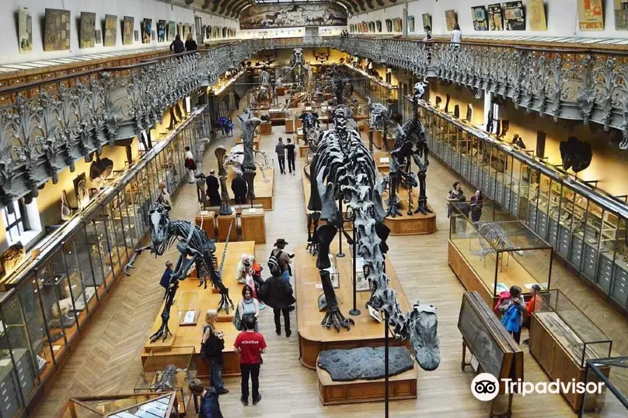 Galeries d'Anatomie Comparee et de Paleontologie