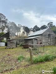 Davidson Whaling Station