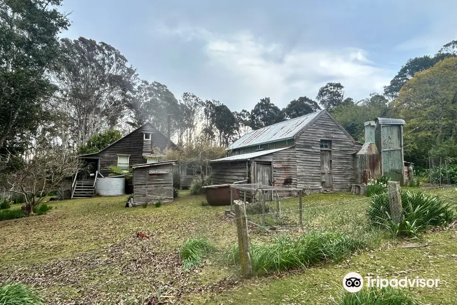 Davidson Whaling Station