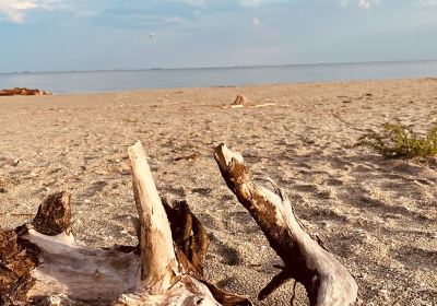 Sulina Beach