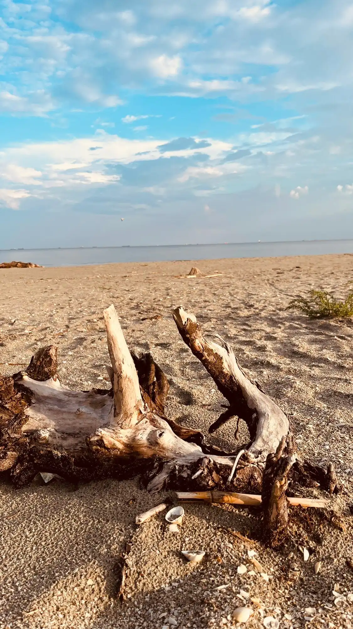 Hotels near Sulina Beach