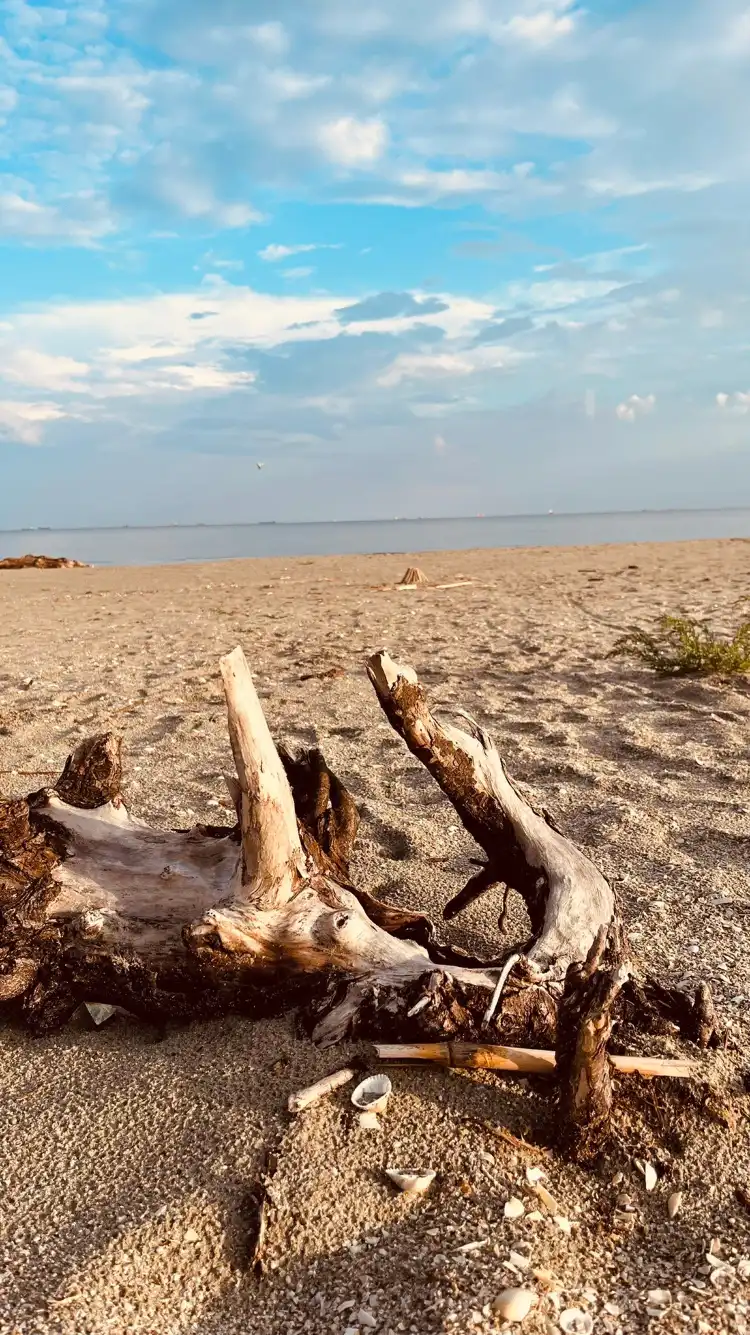 Hotels near Sulina Beach
