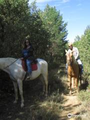 Caballos la Vereda