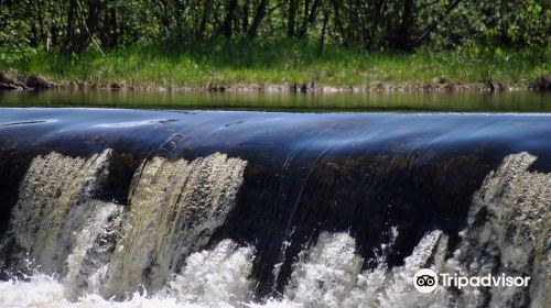 Parc de la Rivière du Moulin