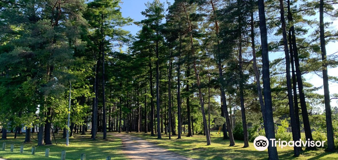 Things to Do in Owen Sound in 2024 Top Attractions, Local Food