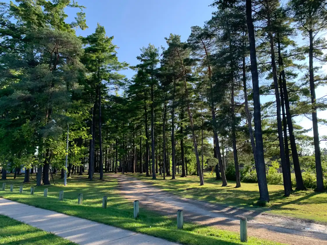 Hotels near Kelso Beach at Nawash Park