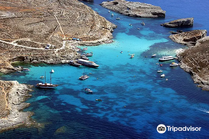 Comino Ferries