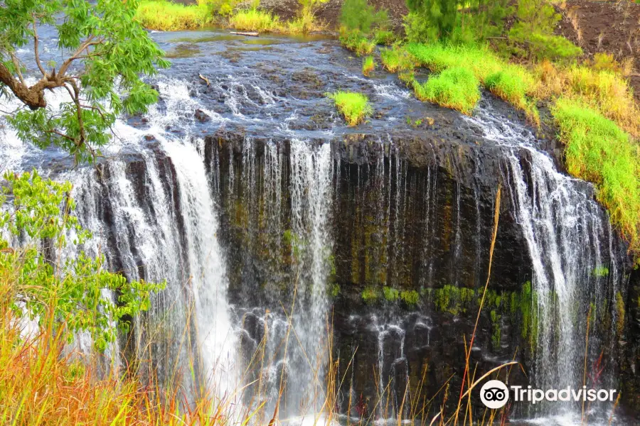 Millstream Falls National Park