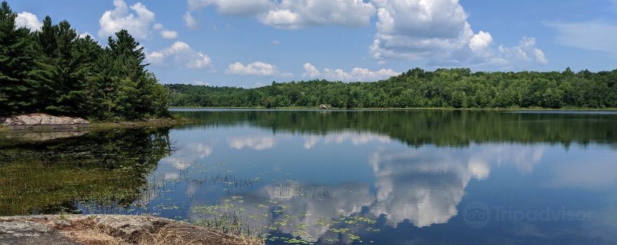 North Kawartha