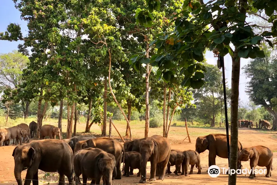 Elephant Transit Home (ETH)