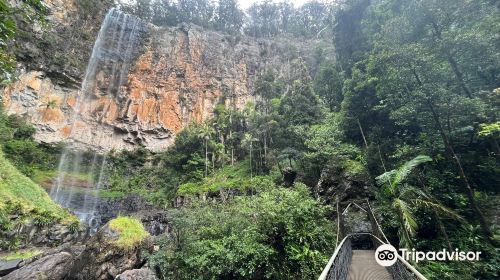 Purling Brook Falls, Springbrook National Park