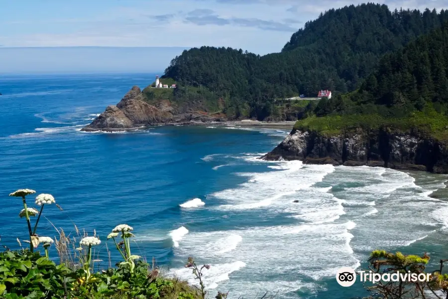 Oregon Coast