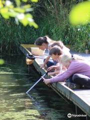 RSPB Fairburn Ings