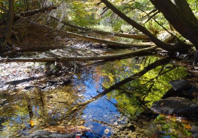 Gifford Woods State Park