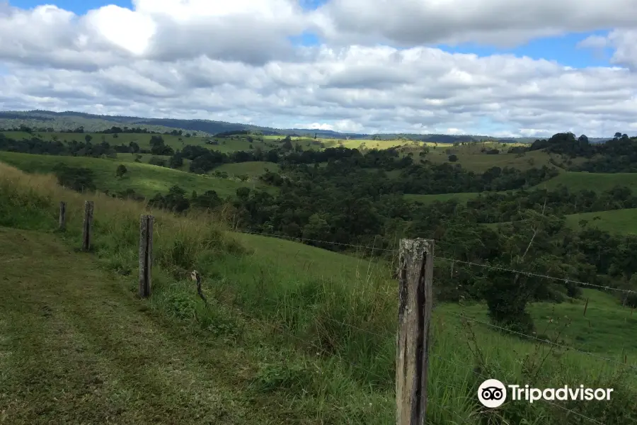 Mungalli Creek Dairy Farm