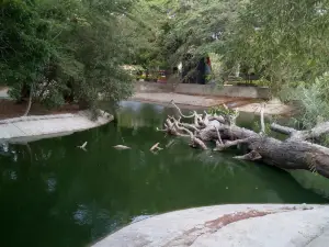 Zoológico de Karachi