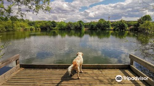 Eastbrookend Country Park